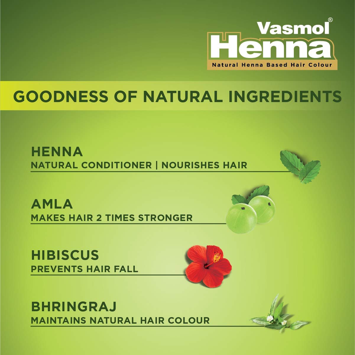 Vasmol Natural Henna Based Hair Colour, 10 gm ( Natural Black) - photo 2